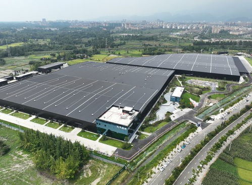 共建制造強市 都江堰市這些企業這么說......