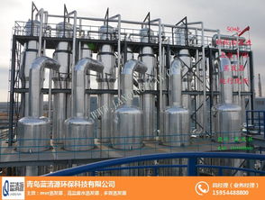 青島造紙廠廢水處理節(jié)能設備 青島藍清源環(huán)保 推薦商家