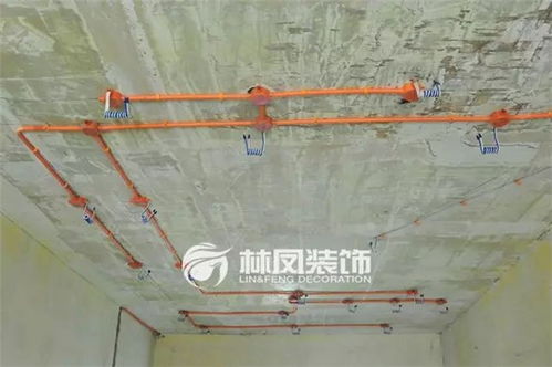 裝修秘密檔案 林鳳在施工上死磕的原則和你不知道的 黑科技